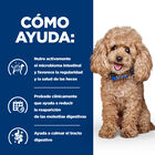 Hill's Prescription Diet Gastrointestinal Biome Mini pienso para perros, , large image number null